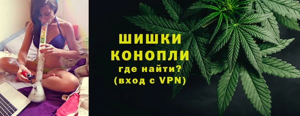 spice Арсеньев