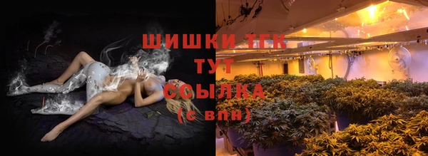 spice Арсеньев
