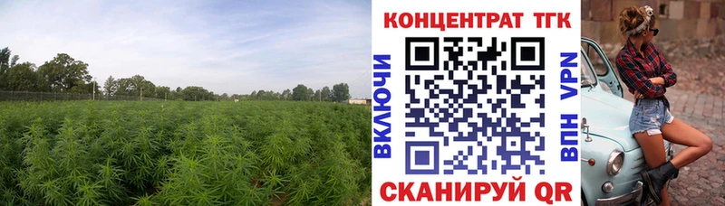 Дистиллят ТГК концентрат Муравленко
