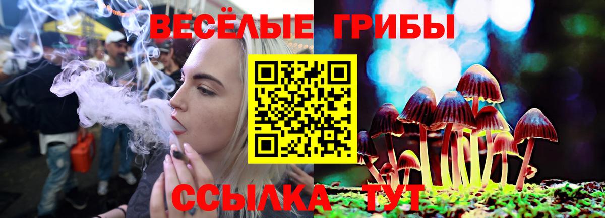 Муравленко  купить наркотики сайты  Вход с VPN  Псилоцибиновые грибы Magic Shrooms  Галлюциногенные грибы Magic Shrooms 